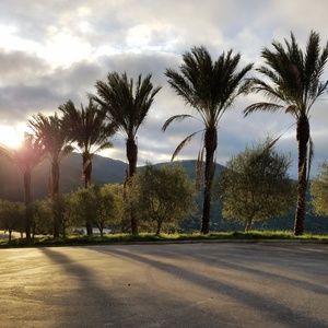 Meet your Posher, Janelly